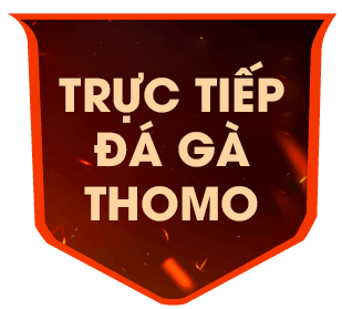 gathomo 10/10/2026