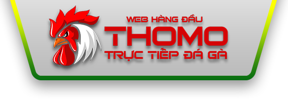 logolandingthomo 10/10/2026